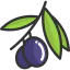 Olives icon 64x64