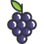 Grapes icon 64x64