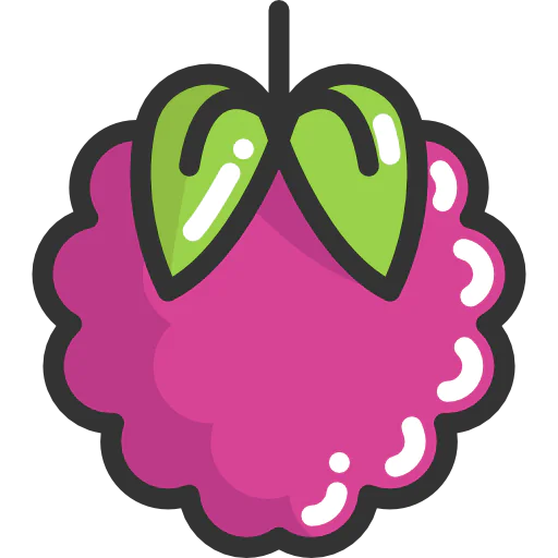 Raspberry icon