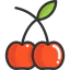 Cherry icon 64x64