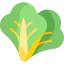 Латук иконка 64x64