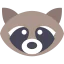 Raccoon icon 64x64