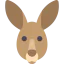 Kangaroo icon 64x64