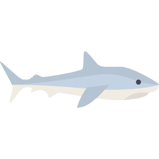 Shark icon
