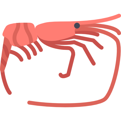 Shrimp icon