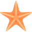 Starfish icon 64x64