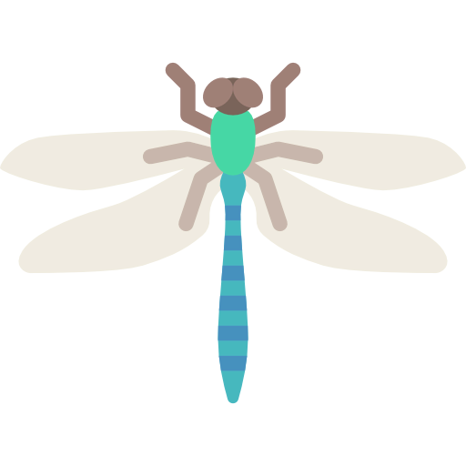 Dragonfly icon