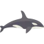 Orca icon 64x64