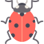 Ladybug 图标 64x64