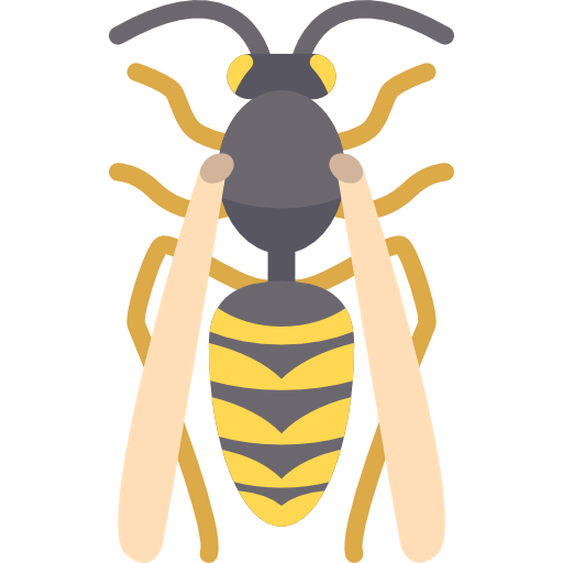 Wasp icon