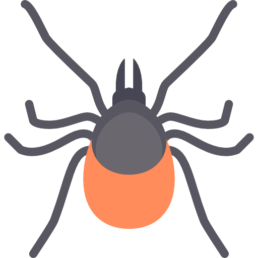 Mite icon