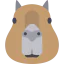 Capybara icon 64x64