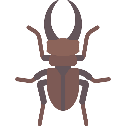 Beetle icon