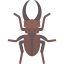 Beetle icône 64x64