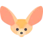 Fennec icon 64x64