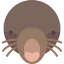 Mole icon 64x64