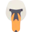 Swan icon 64x64