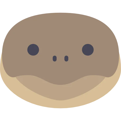 Turtle icon