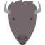 Bison icon 64x64