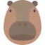 Hippopotamus icon 64x64