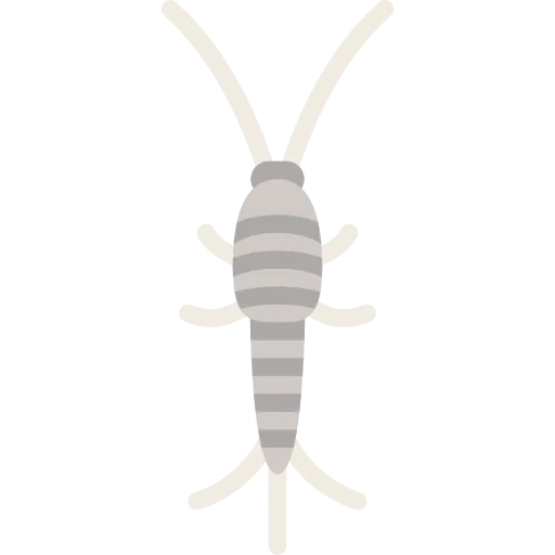 Silverfish icon