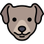 Dog icon 64x64