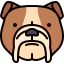 Bulldog icon 64x64