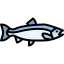 Salmon icon 64x64