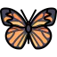 Butterfly icon 64x64