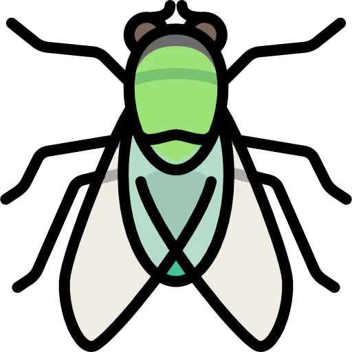 Fly icon