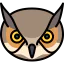 Owl icon 64x64
