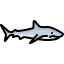Shark icon 64x64