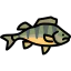 Perch icon 64x64