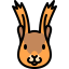 Squirrel icon 64x64