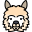 Llama icon 64x64
