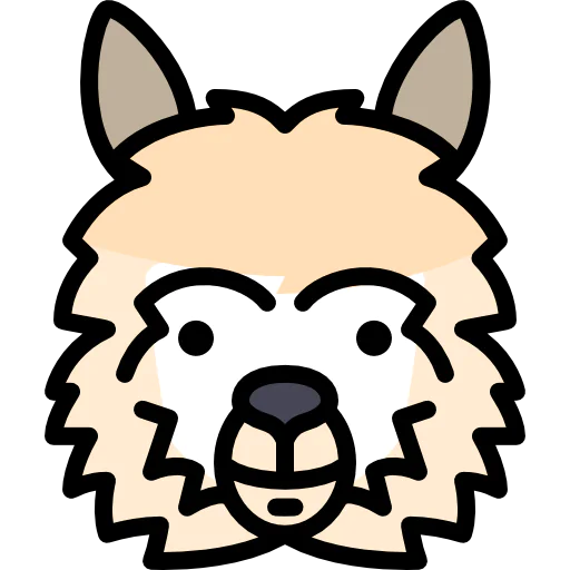 Llama icon