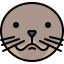 Seal icône 64x64