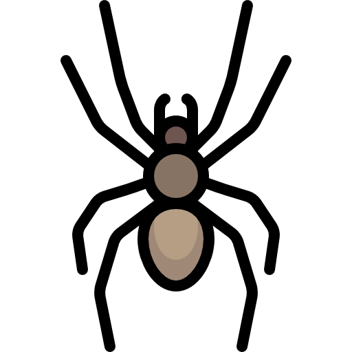 Spider icon