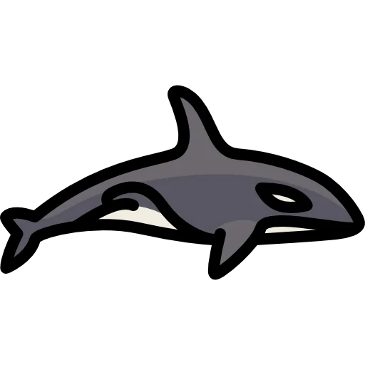 Orca icon