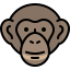 Chimpanzee icon 64x64