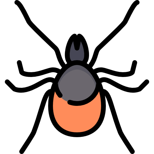 Mite icon