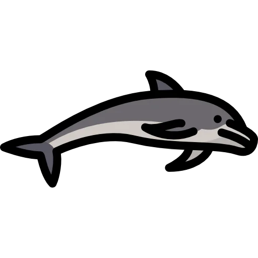 Dolphin icon