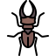 Beetle icône 64x64