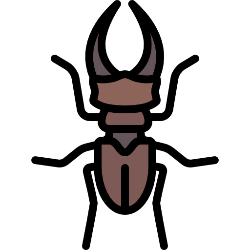 Beetle icon