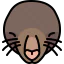 Mole icon 64x64