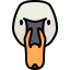 Swan icon 64x64