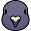 Dove icon 64x64