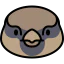 Sparrow icon 64x64
