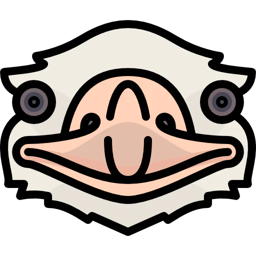 Ostrich icon