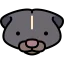 Skunk icon 64x64